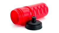 BORRACCIA ECONOMICA 500ML
